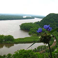 Mississippi River