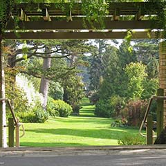 Golden Gate Park